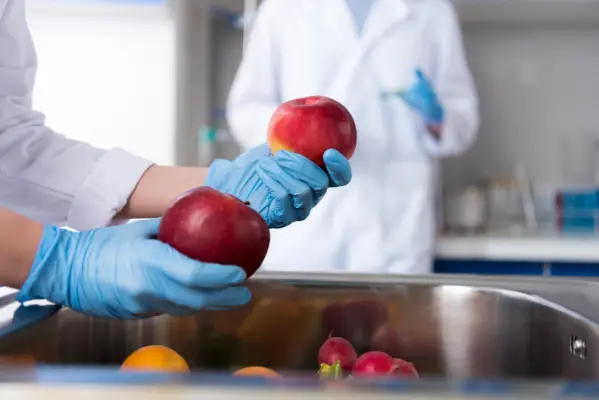 Prevenir contaminantes fisicos seguridad alimentaria