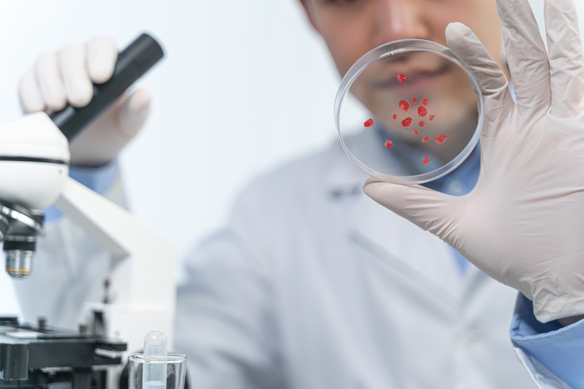 Microorganismos patogenos riesgo salud publica