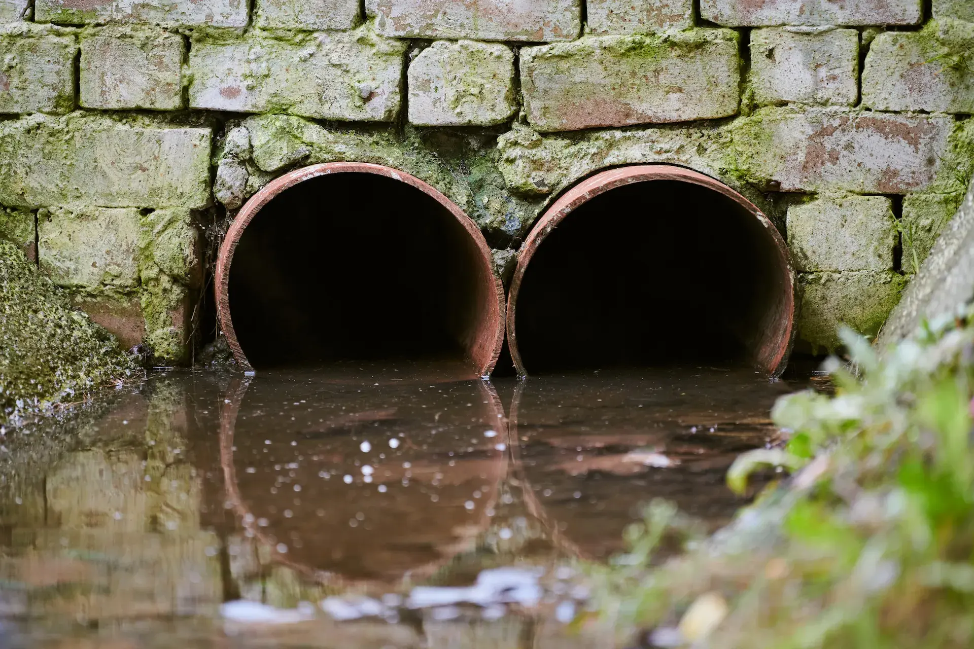 Sewers with toxic dirty water 2024 11 11 15 38 22 utc